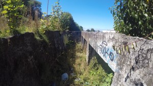 Mega Basural Notisur