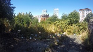 Mega Basural Notisur