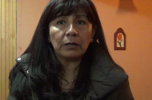 Roxana Miranda obtuvo más de 83 mil votos en las elecciones presidenciales de 2013.